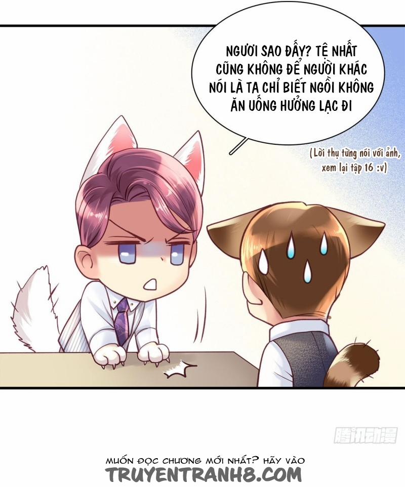 Khanh Như Tơ 19 trang 23