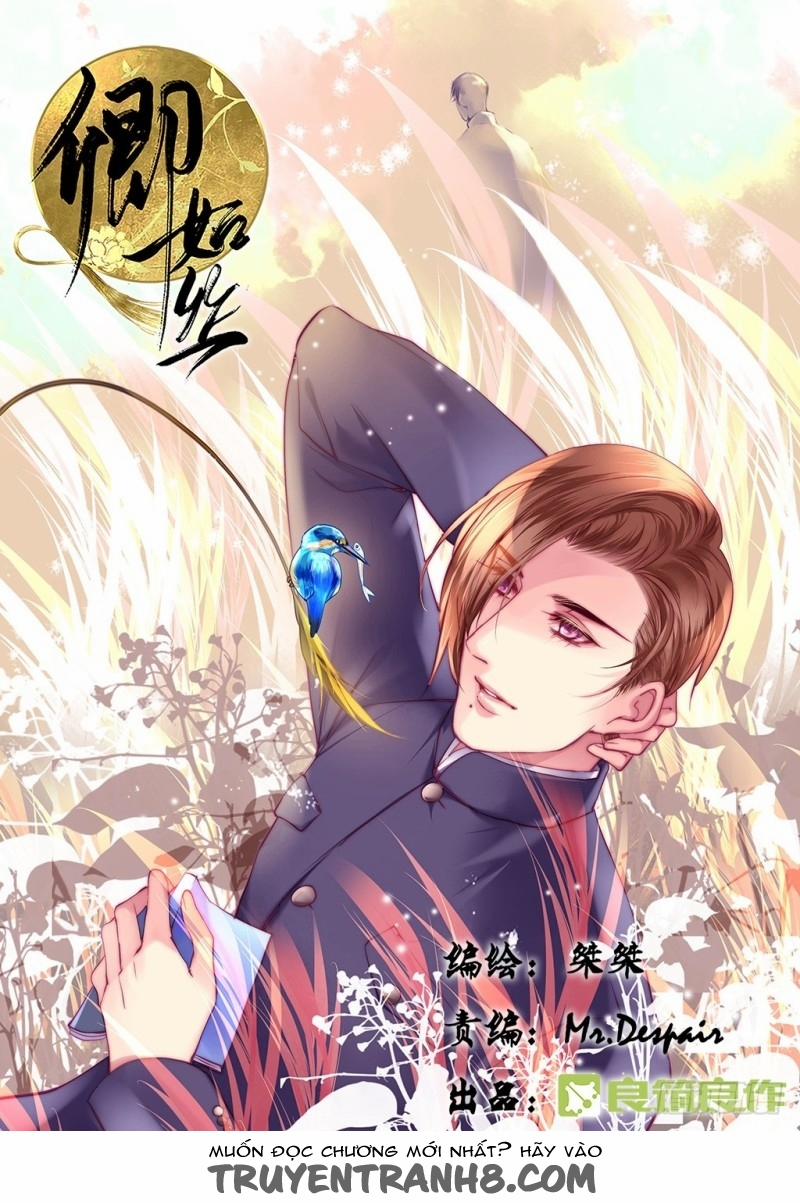 Khanh Như Tơ 28 trang 0