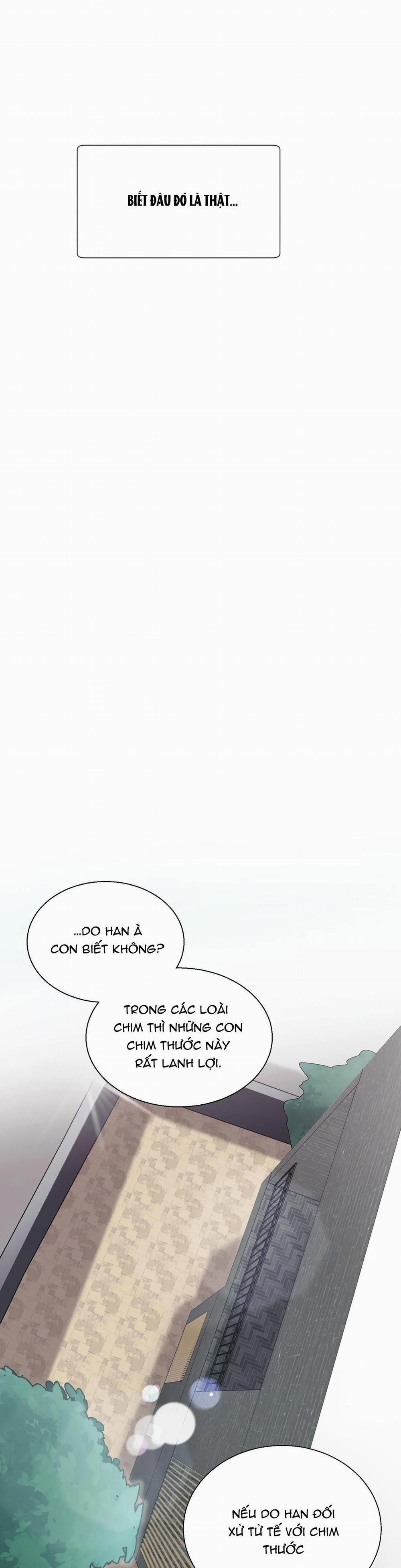 Khi Chim Thước Đến 1 trang 26