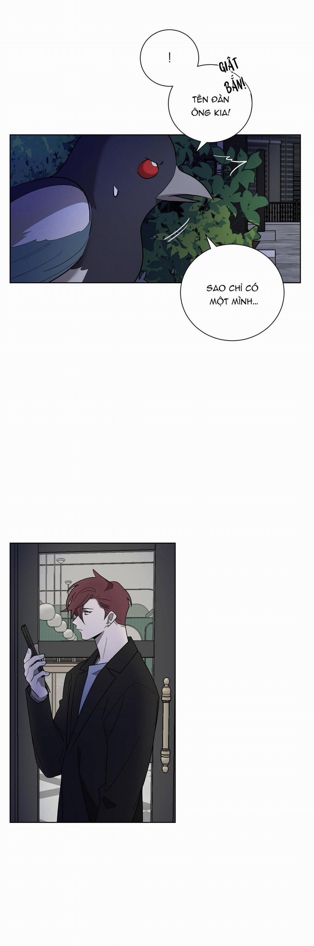 Khi Chim Thước Đến 11 trang 27