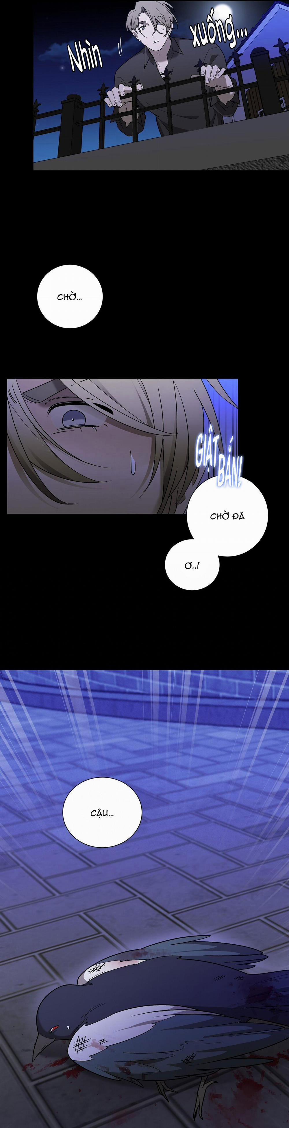 Khi Chim Thước Đến 12 trang 24