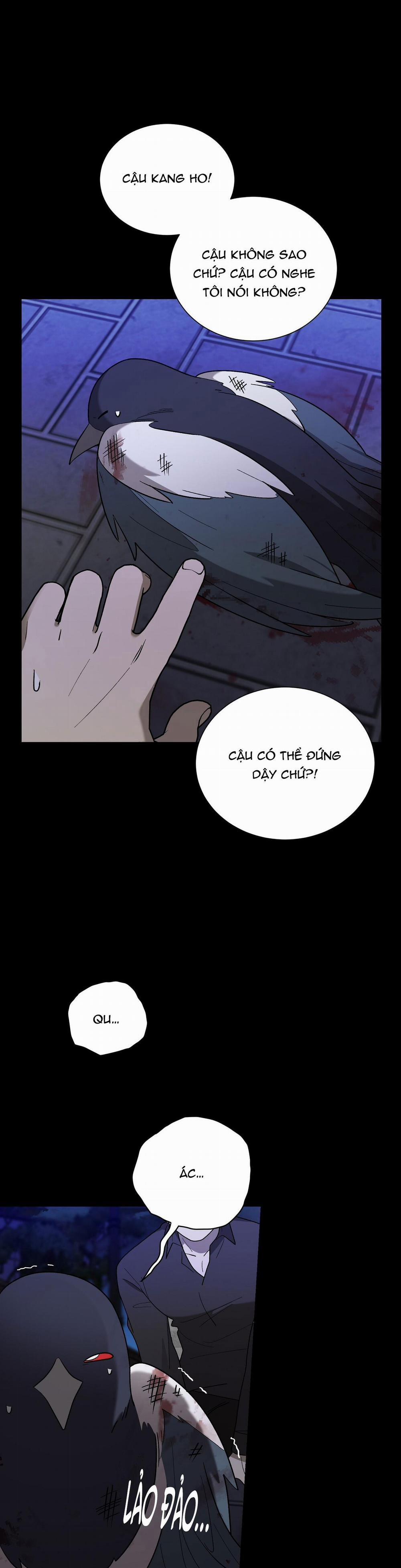 Khi Chim Thước Đến 12 trang 28