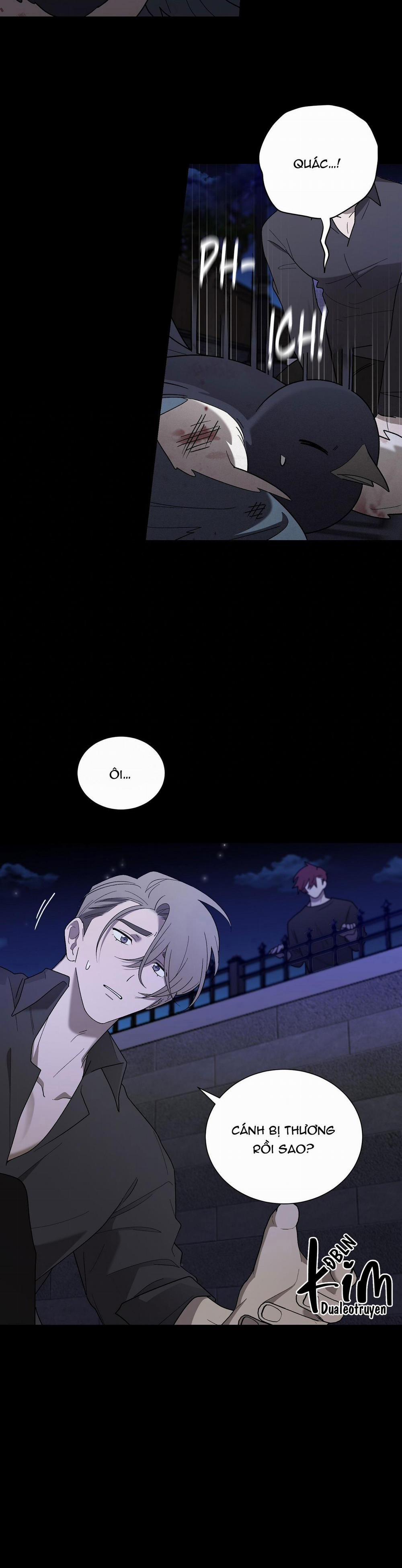 Khi Chim Thước Đến 12 trang 29