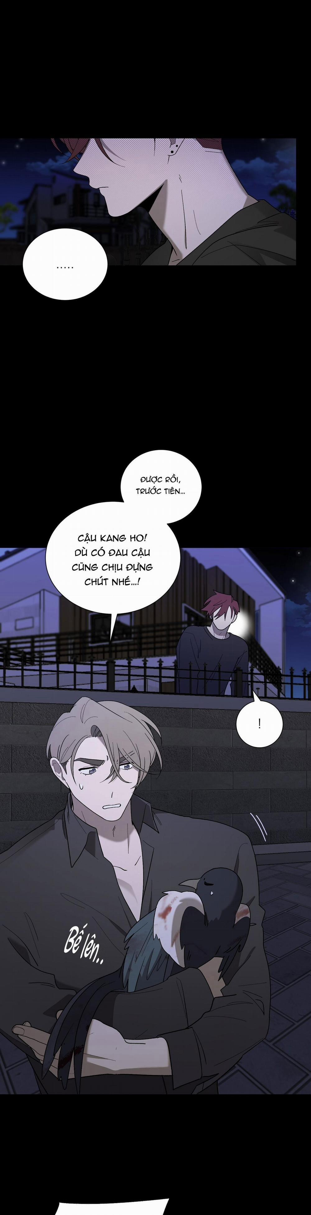 Khi Chim Thước Đến 12 trang 31