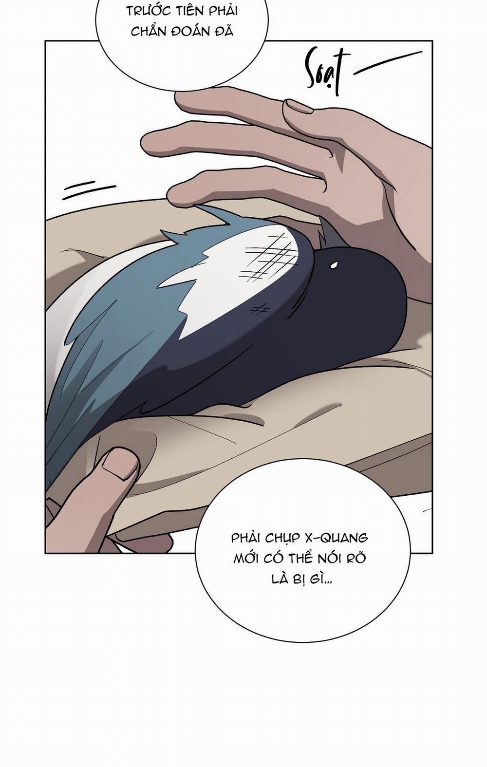 Khi Chim Thước Đến 13 trang 11