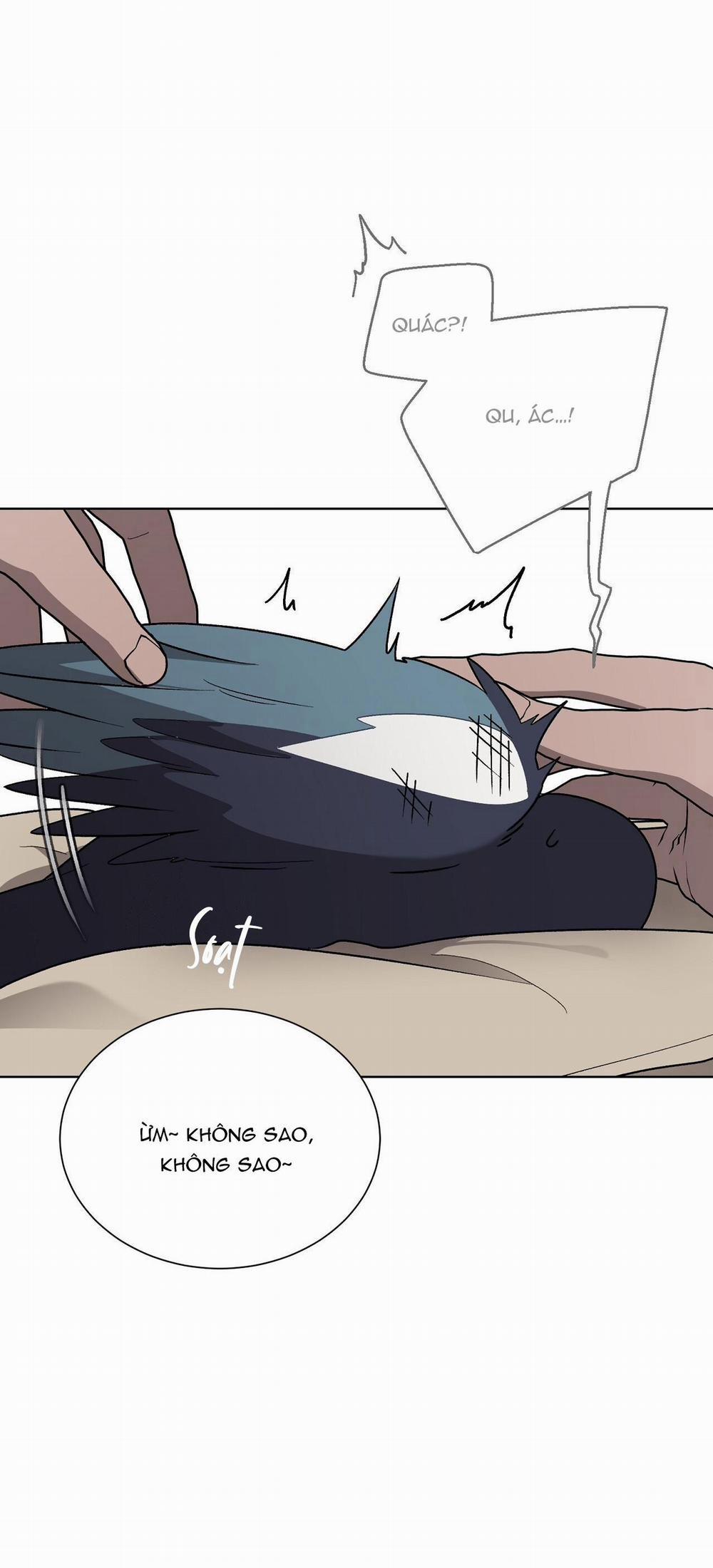 Khi Chim Thước Đến 13 trang 12