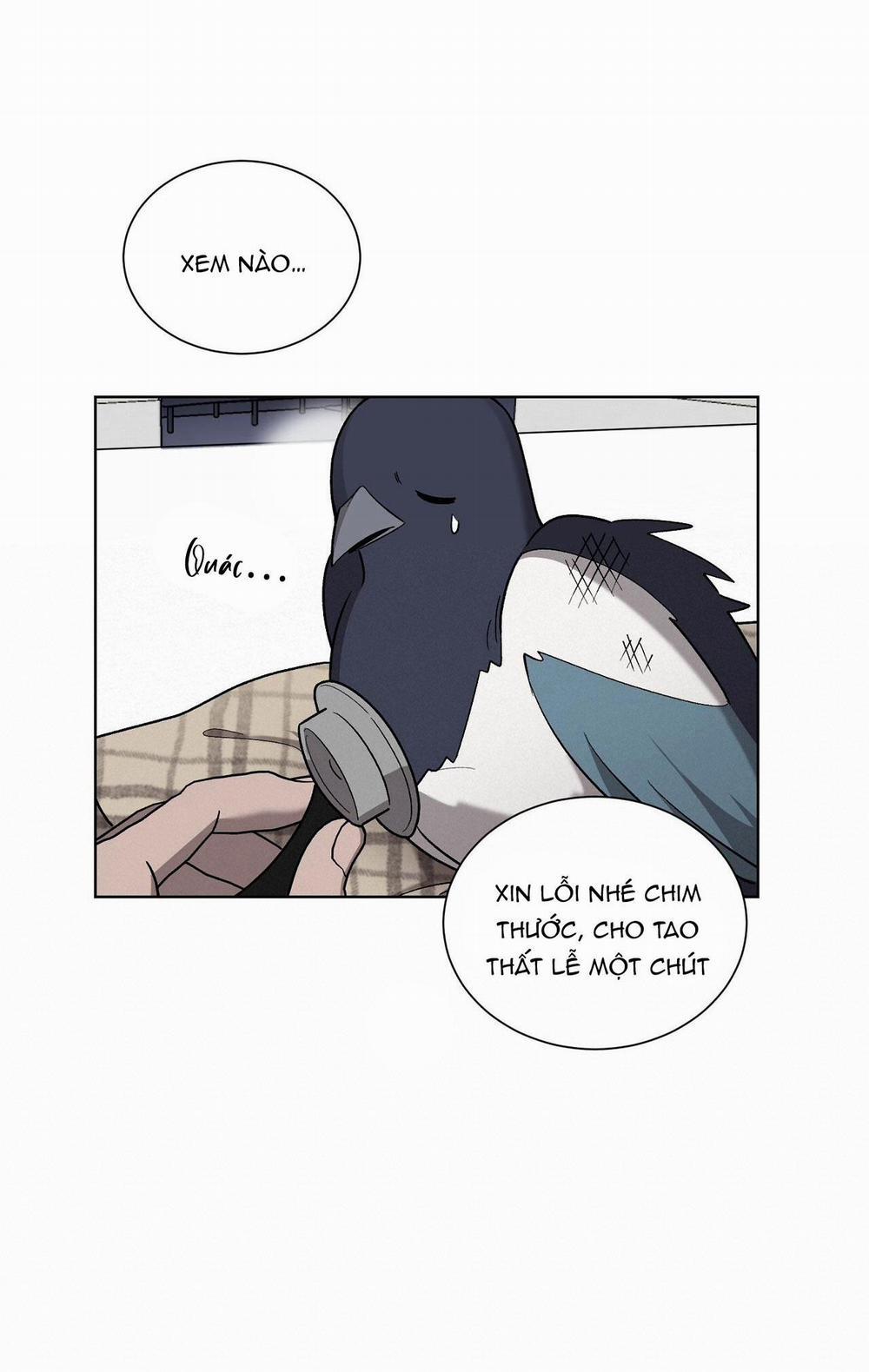 Khi Chim Thước Đến 13 trang 21