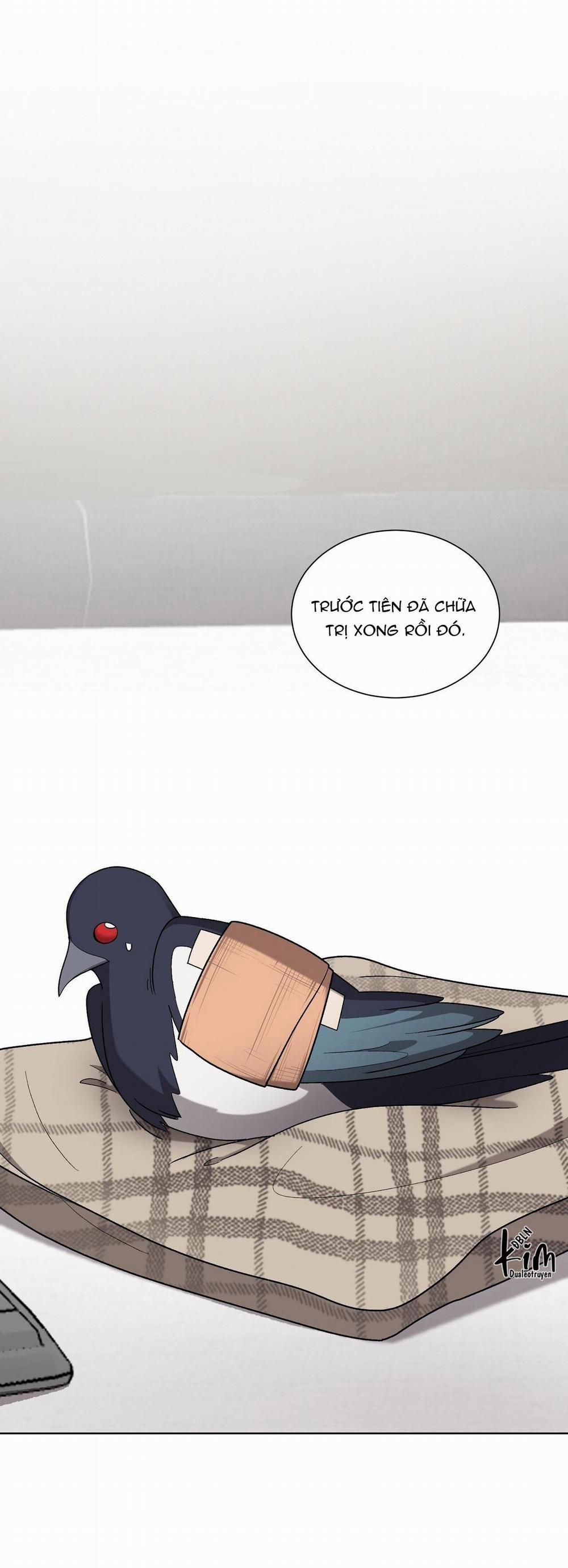 Khi Chim Thước Đến 13 trang 23