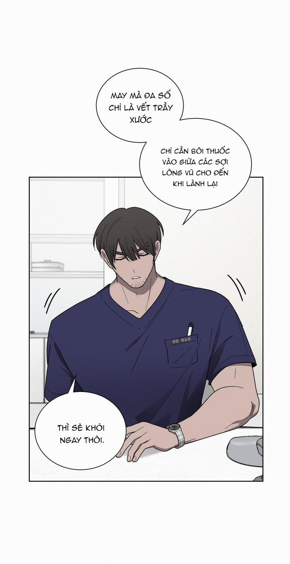 Khi Chim Thước Đến 13 trang 24