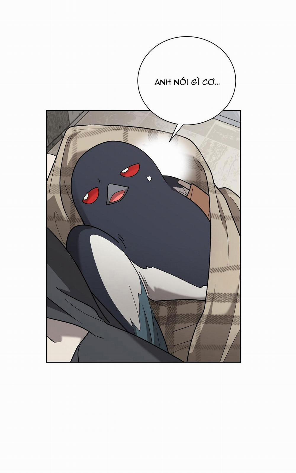 Khi Chim Thước Đến 13 trang 45