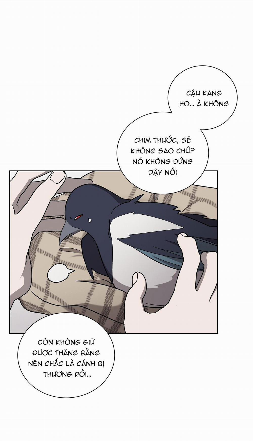 Khi Chim Thước Đến 13 trang 8