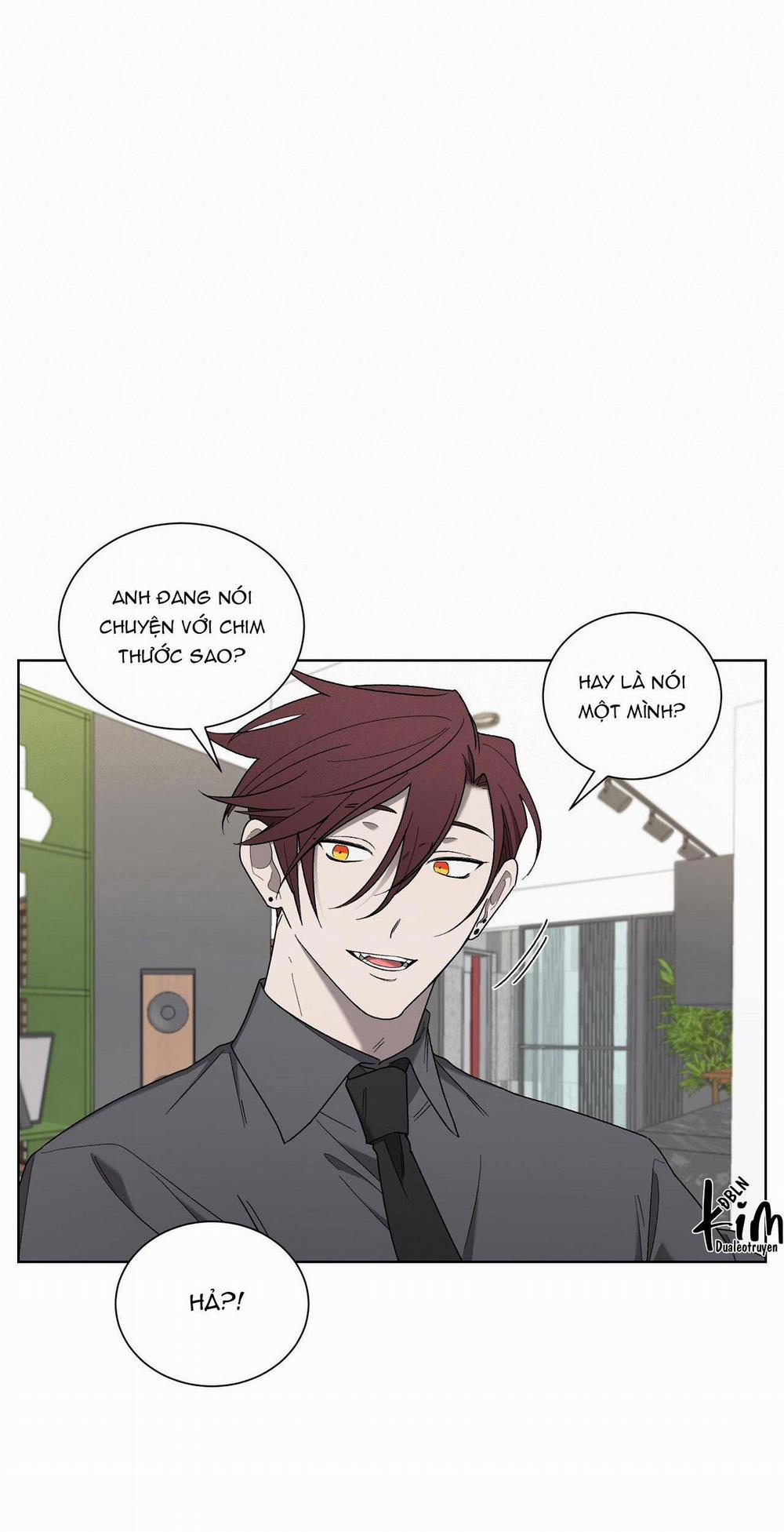 Khi Chim Thước Đến 19 trang 10