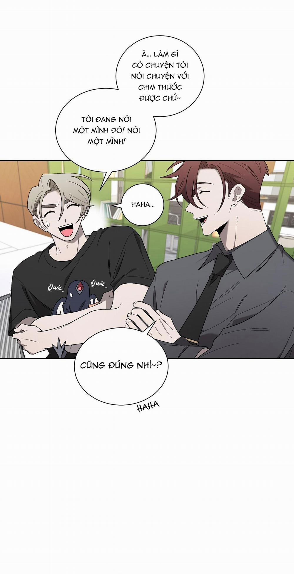 Khi Chim Thước Đến 19 trang 11