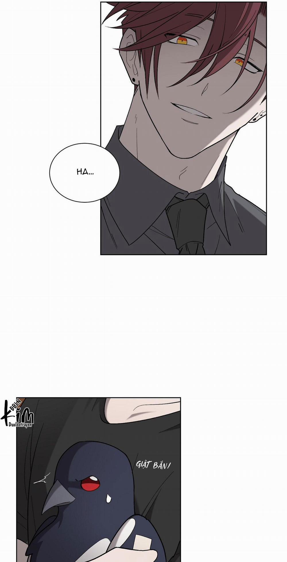 Khi Chim Thước Đến 19 trang 12