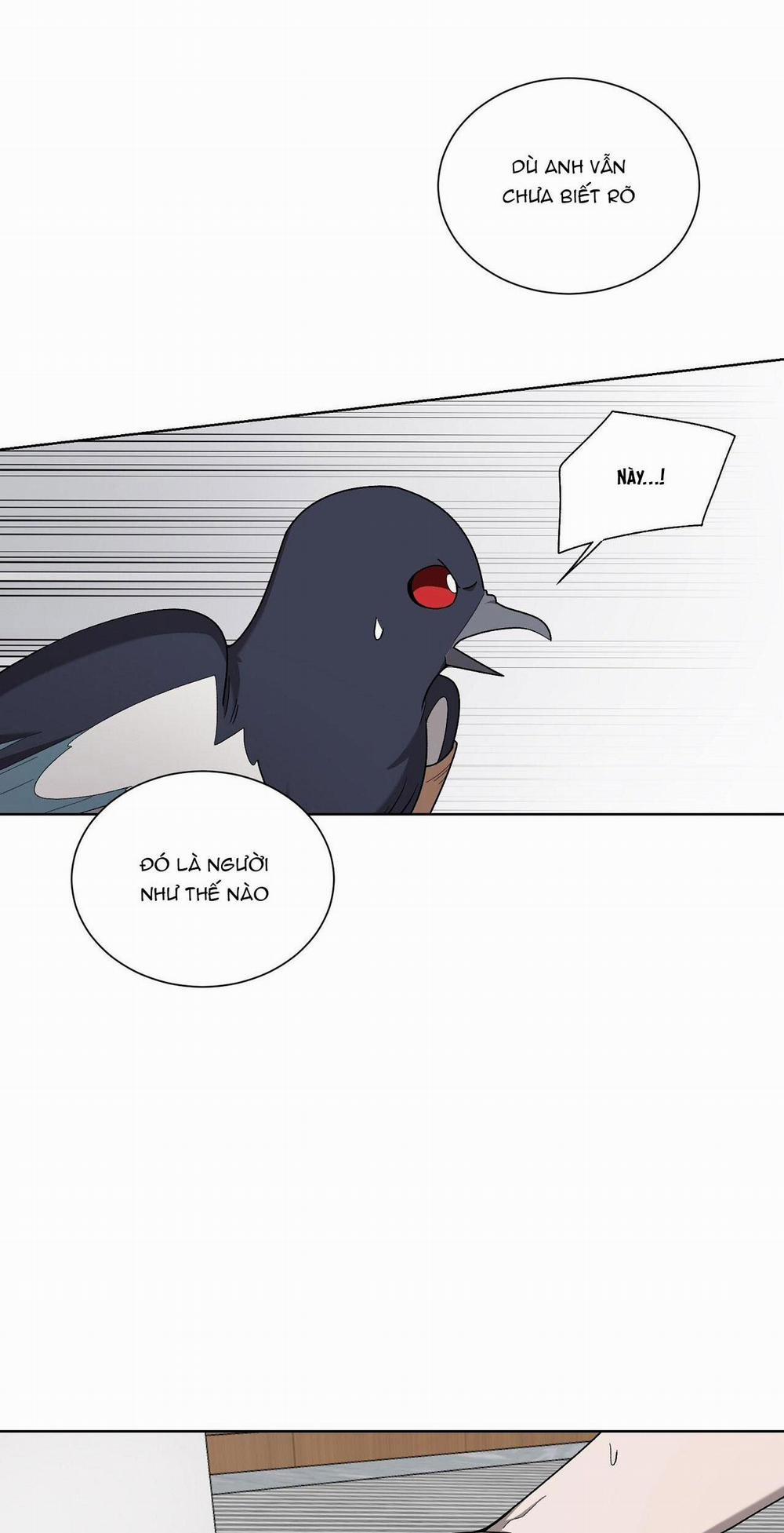 Khi Chim Thước Đến 19 trang 46