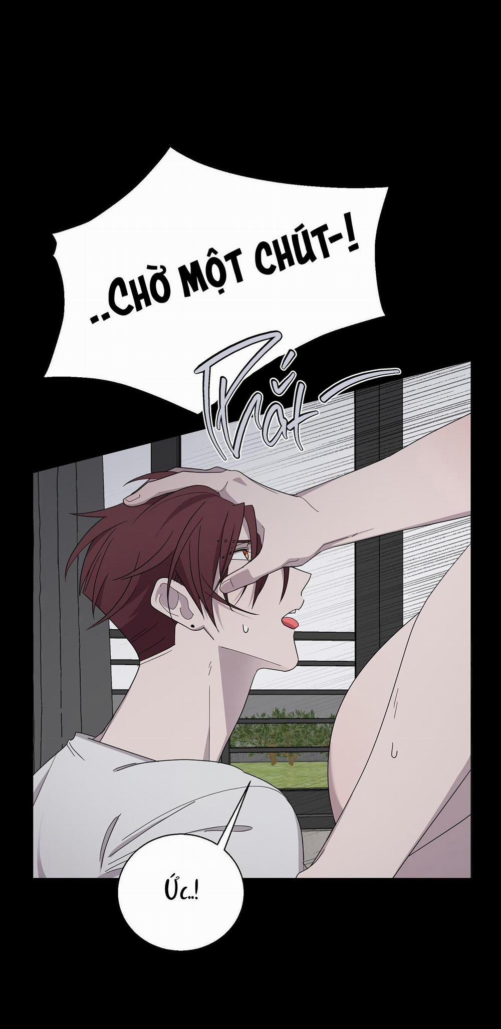 Khi Chim Thước Đến 4 trang 8