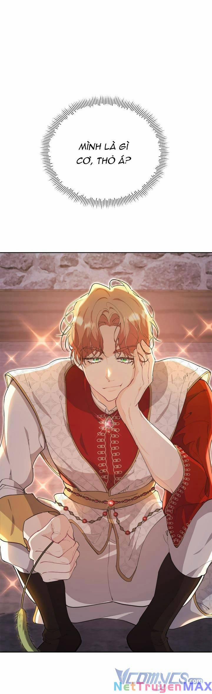 Khi Con Gái Của Phù Thuỷ Phá Giải Lời Nguyền Của Nam Chính 14 trang 0