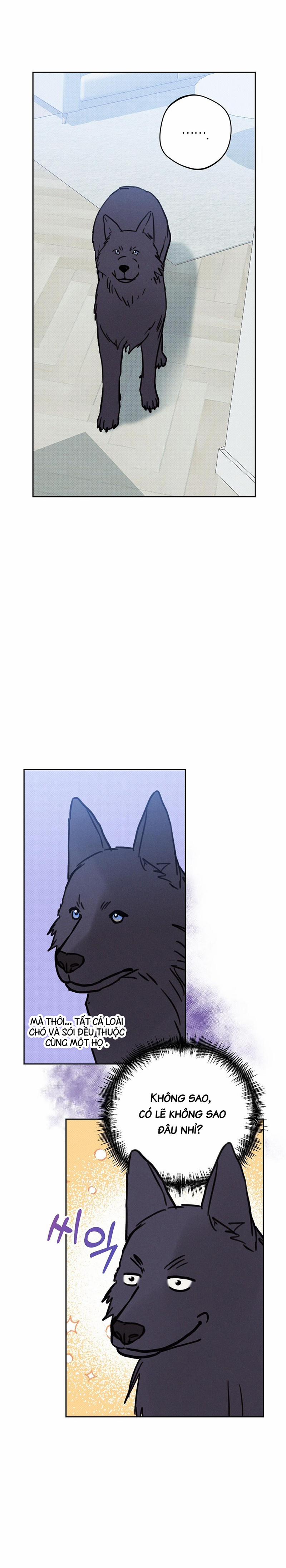 Khi Đêm Trăng Tròn 4 trang 16