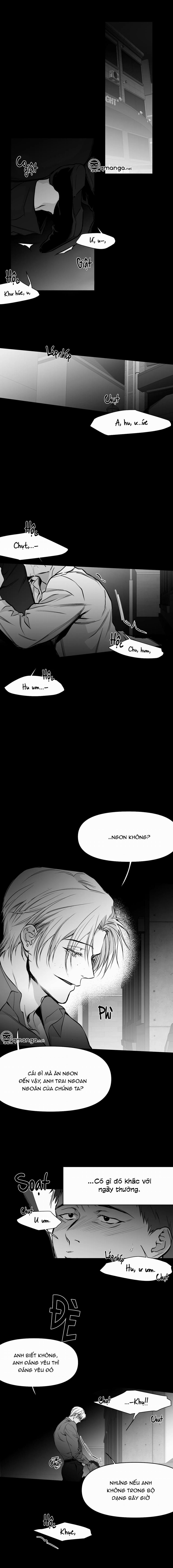 Khi Đôi Chân Thôi Bước 31 trang 11