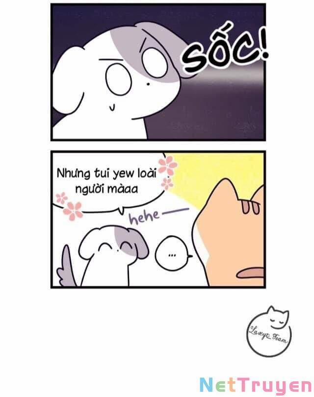 Khi Loài Mèo Làm Bá Chủ Thế Giới 2 trang 3