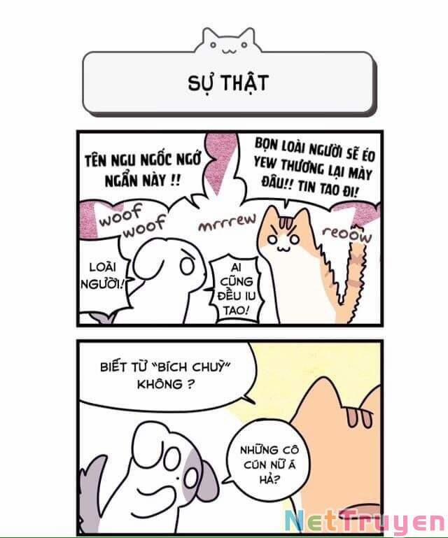 Khi Loài Mèo Làm Bá Chủ Thế Giới 2 trang 4