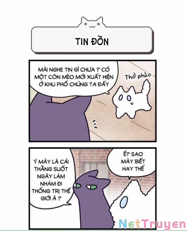 Khi Loài Mèo Làm Bá Chủ Thế Giới 2 trang 7