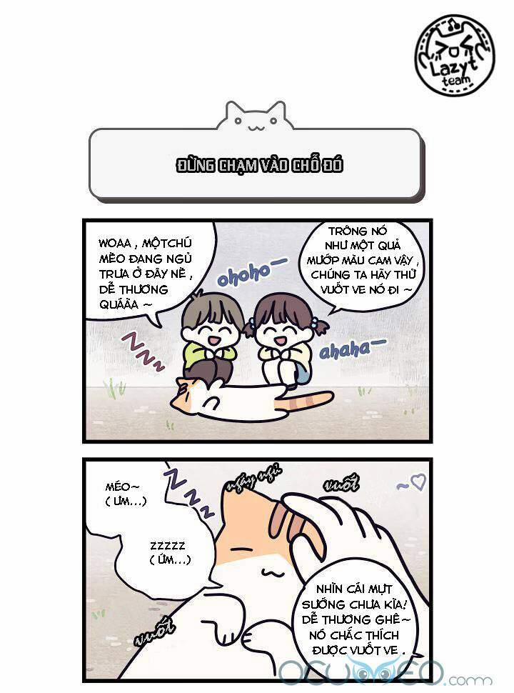 Khi Loài Mèo Làm Bá Chủ Thế Giới 5 trang 1