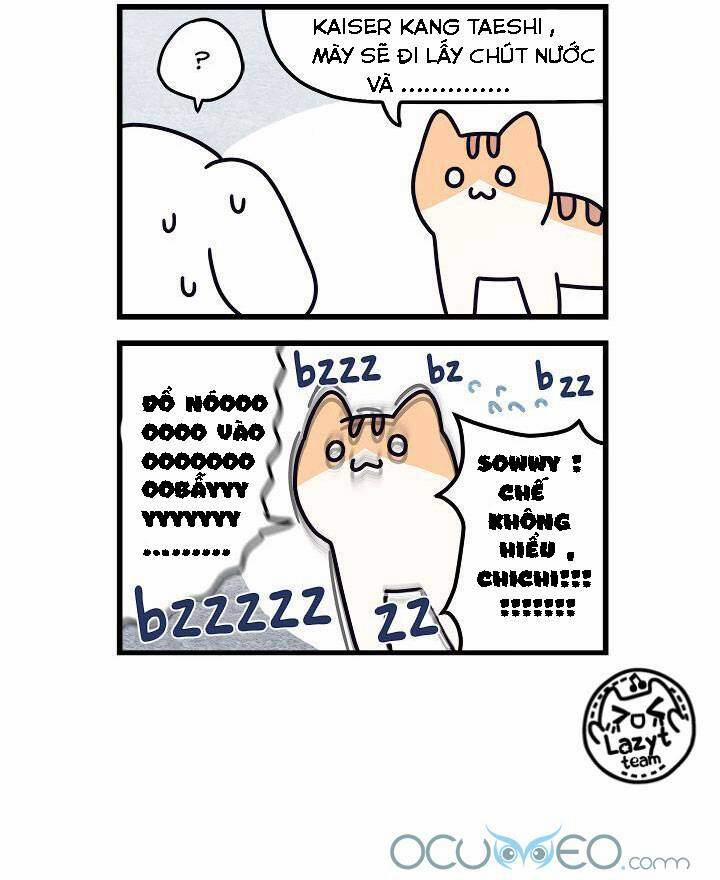 Khi Loài Mèo Làm Bá Chủ Thế Giới 5 trang 15