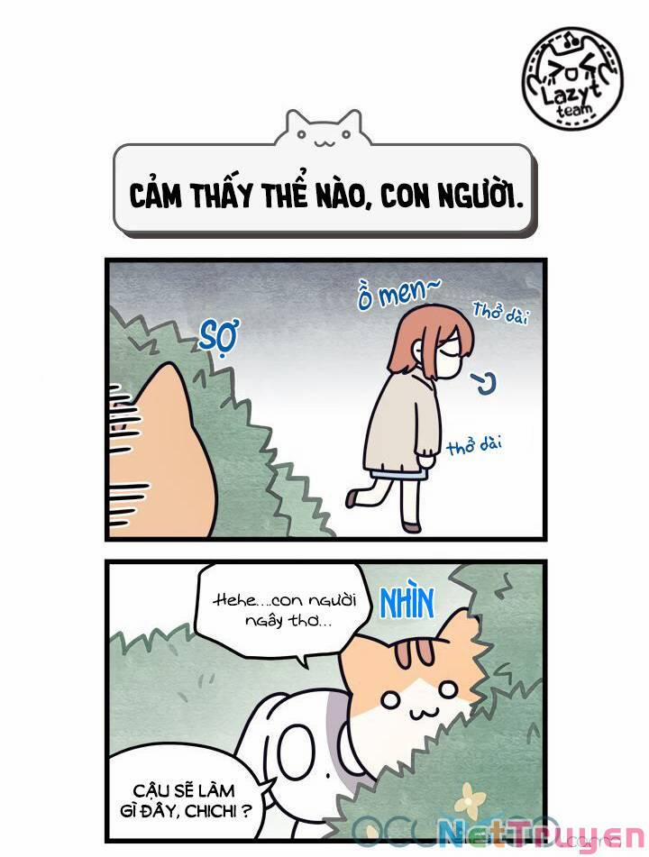 Khi Loài Mèo Làm Bá Chủ Thế Giới 7 trang 4