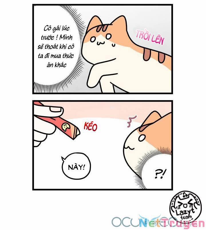 Khi Loài Mèo Làm Bá Chủ Thế Giới 7 trang 9