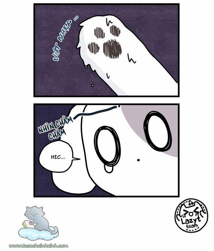 Khi Loài Mèo Làm Bá Chủ Thế Giới 8 trang 10