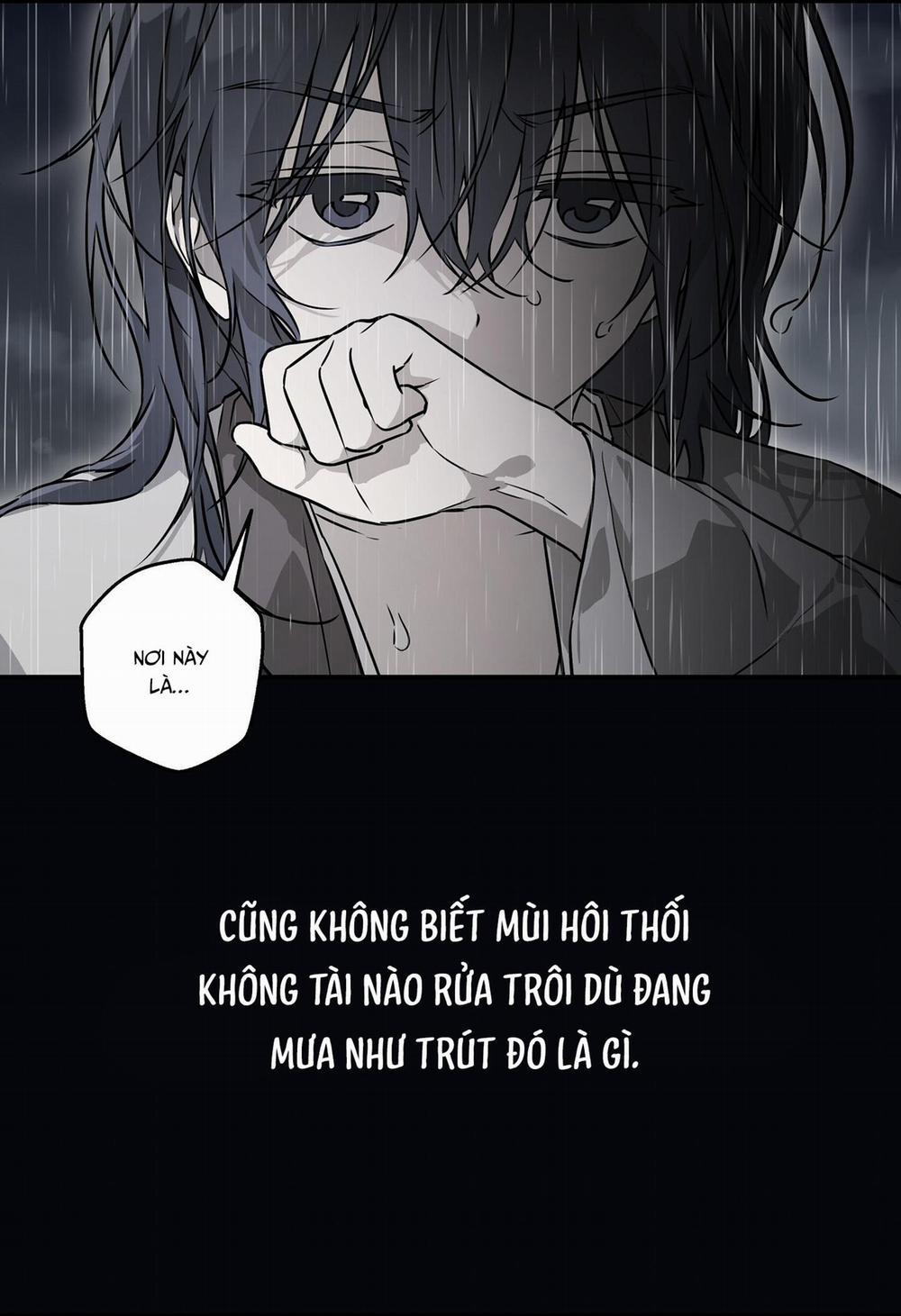 KHI MẶT TRỜI LÓ DẠNG 11 trang 3