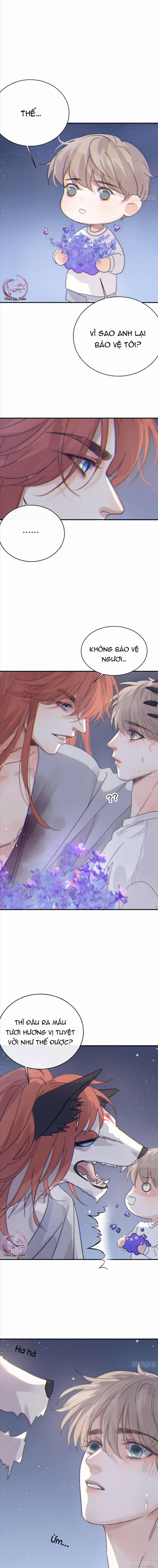 Khi Người Say Giấc 8 trang 14