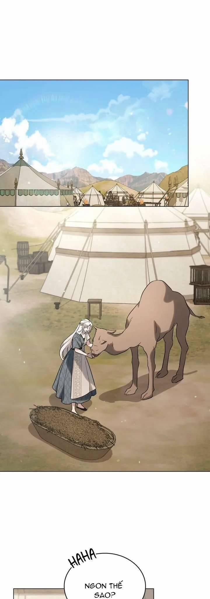 Khi Số Phận Tìm Đến Hai Ta 28 trang 0