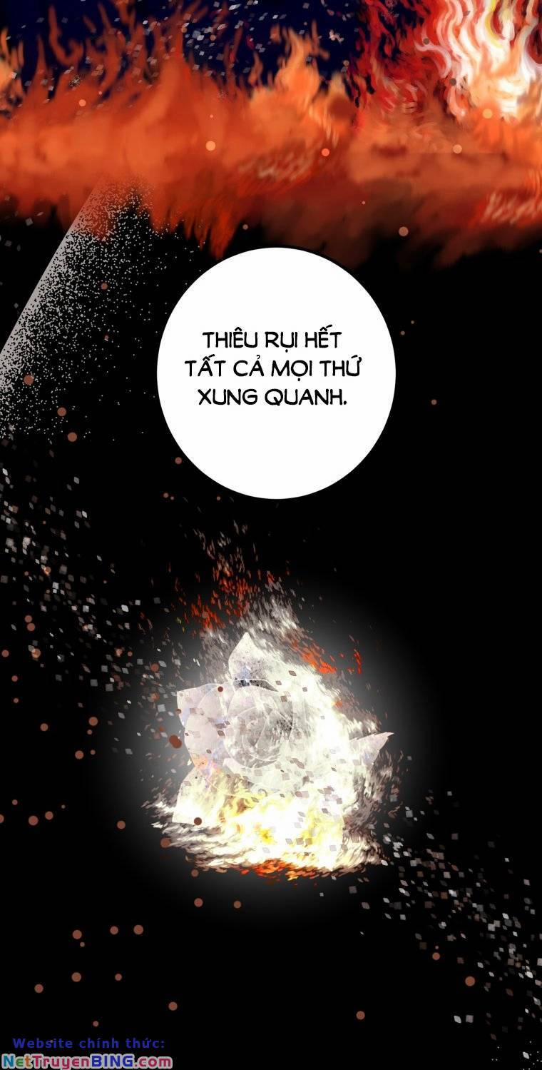 Khi Tôi Bị Chú Chó Tôi Bỏ Rơi Cắn 12 trang 12