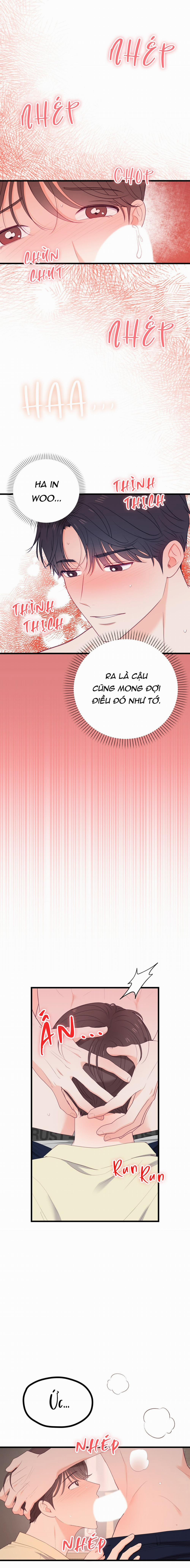 Khi Trai Thẳng Phải Lòng Chàng Gay 33 trang 13