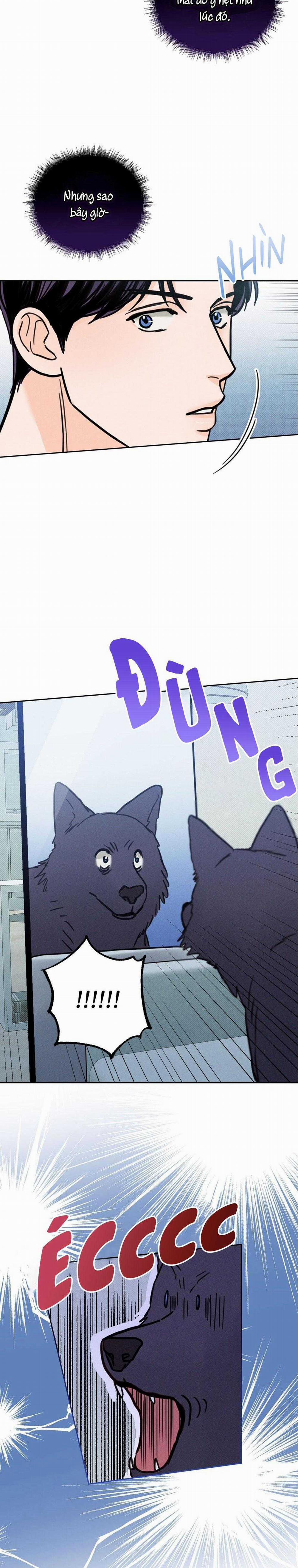 Khi Trăng Tròn Mọc 4 trang 16