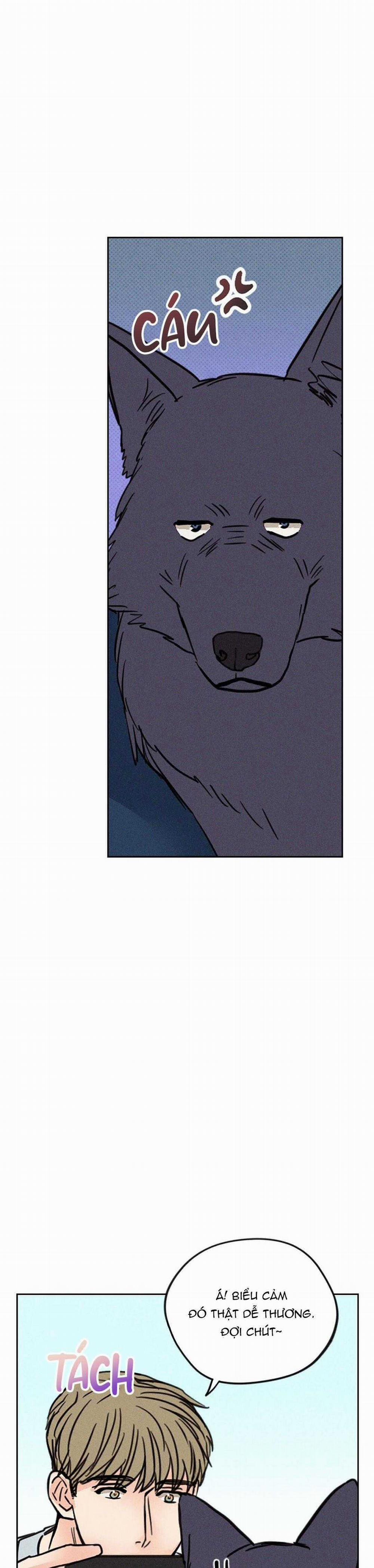 Khi Trăng Tròn Mọc 5 trang 11