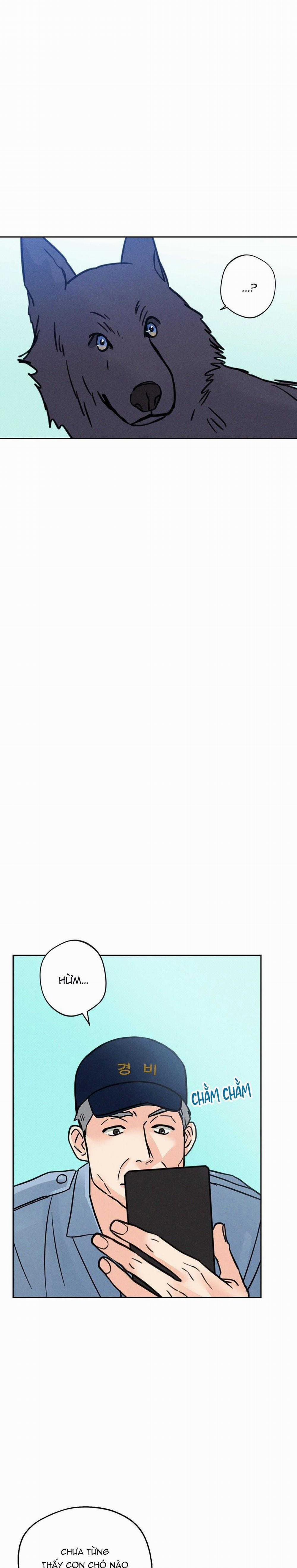 Khi Trăng Tròn Mọc 5 trang 15