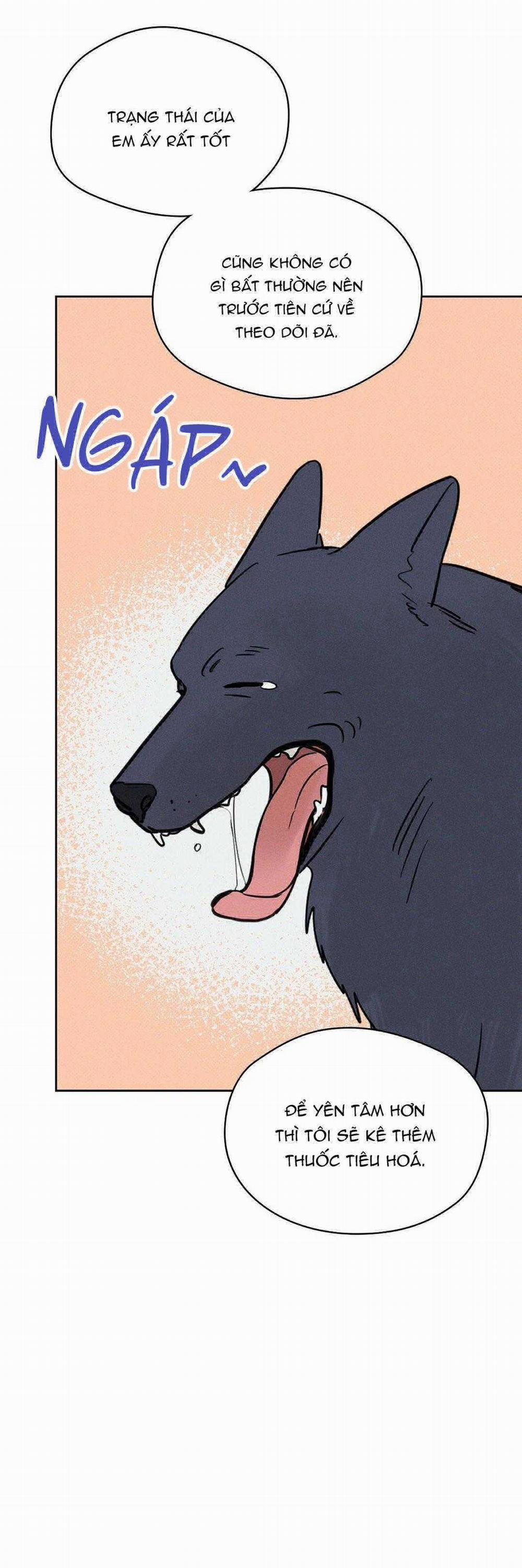 Khi Trăng Tròn Mọc 6 trang 39