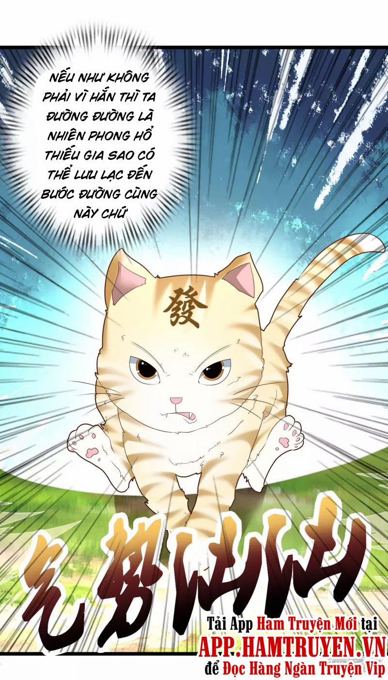 Khoa Kỹ Đại Tiên Tông 19 trang 12