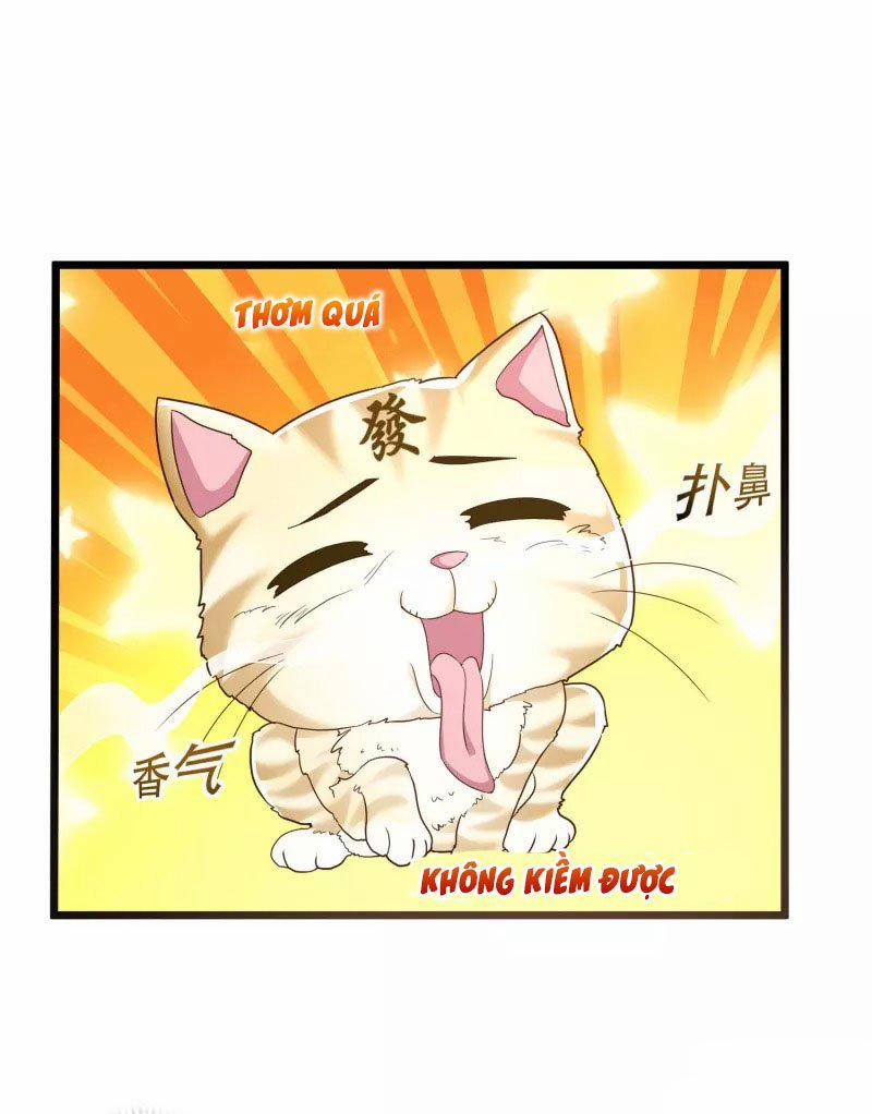 Khoa Kỹ Đại Tiên Tông 19 trang 23