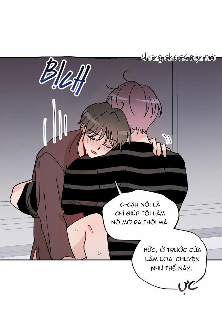 Khoảng Cách Gặp Gỡ 11 trang 51