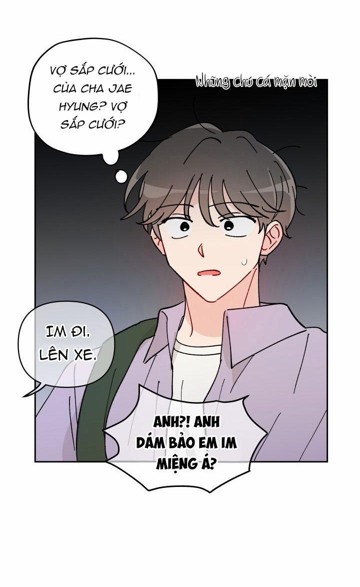 Khoảng Cách Gặp Gỡ 8 trang 58