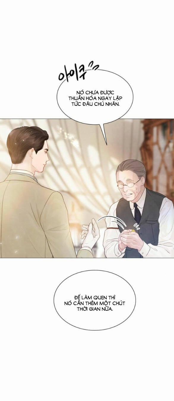 Khóc Đi, Hay Cầu Xin Tôi Cũng Được 11.2 trang 23