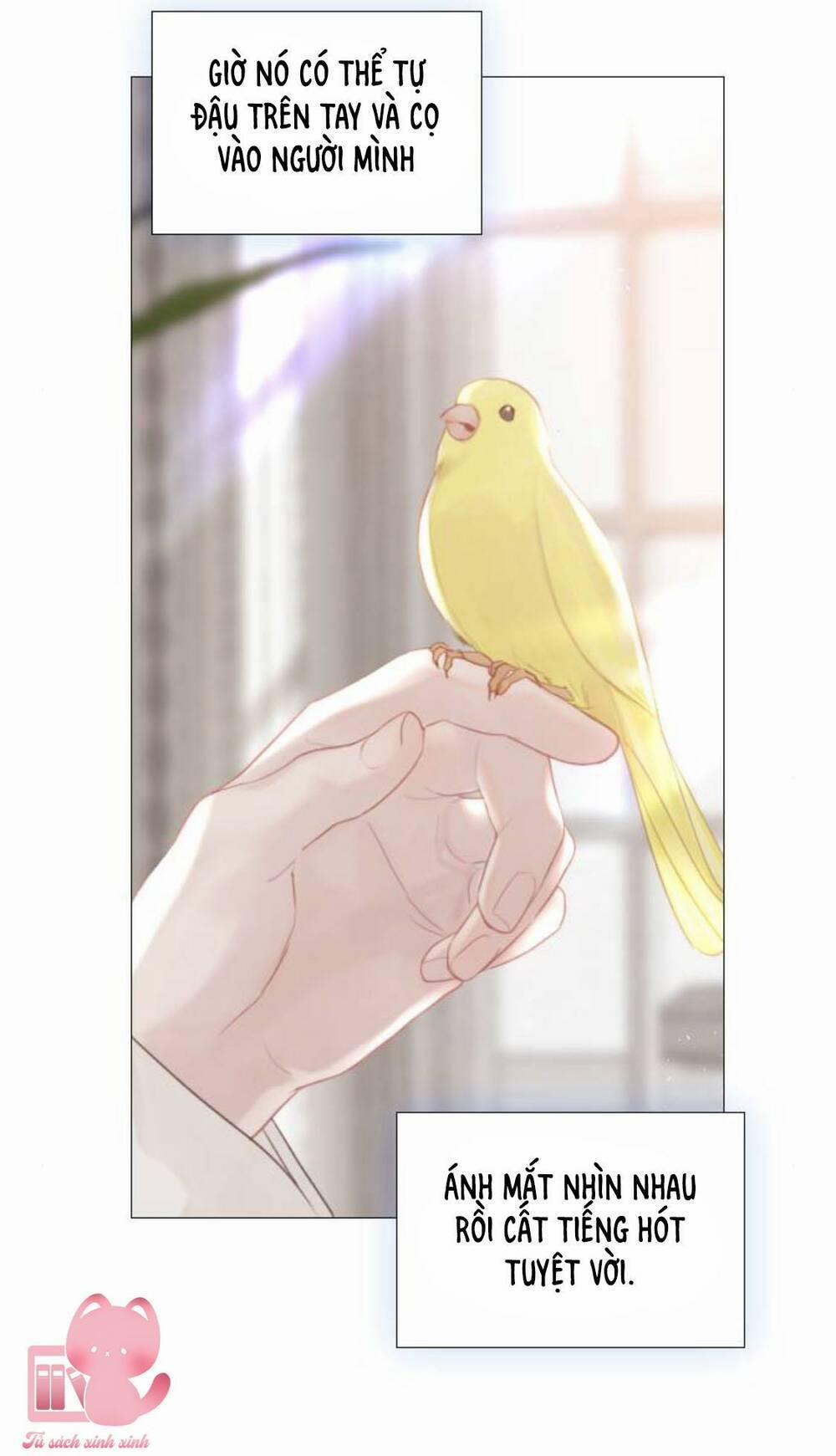 Khóc Đi, Hay Cầu Xin Tôi Cũng Được 16 trang 54