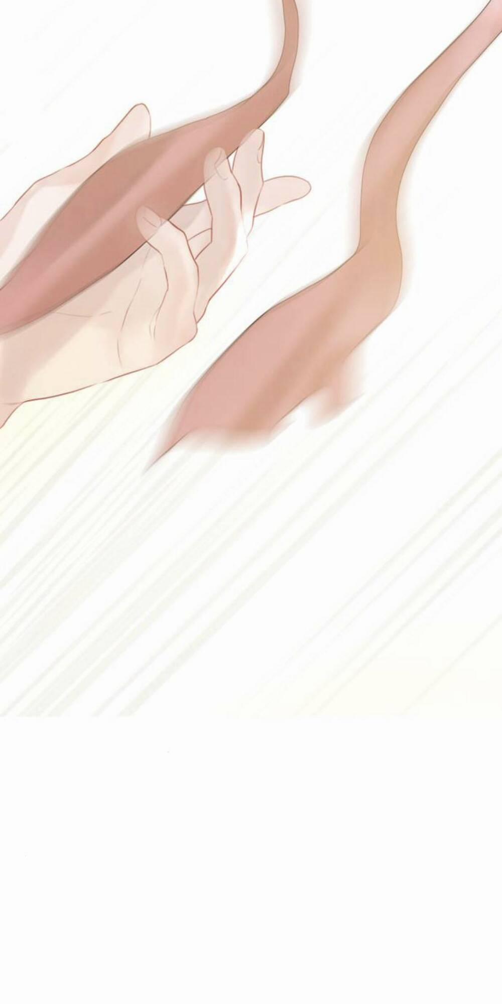 Khóc Đi, Hay Cầu Xin Tôi Cũng Được 17 trang 51