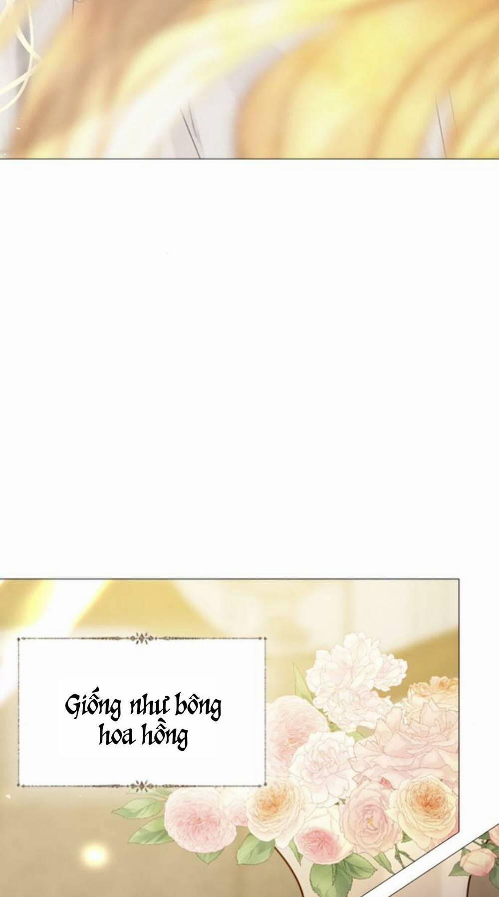 Khóc Đi, Hay Cầu Xin Tôi Cũng Được 19 trang 20