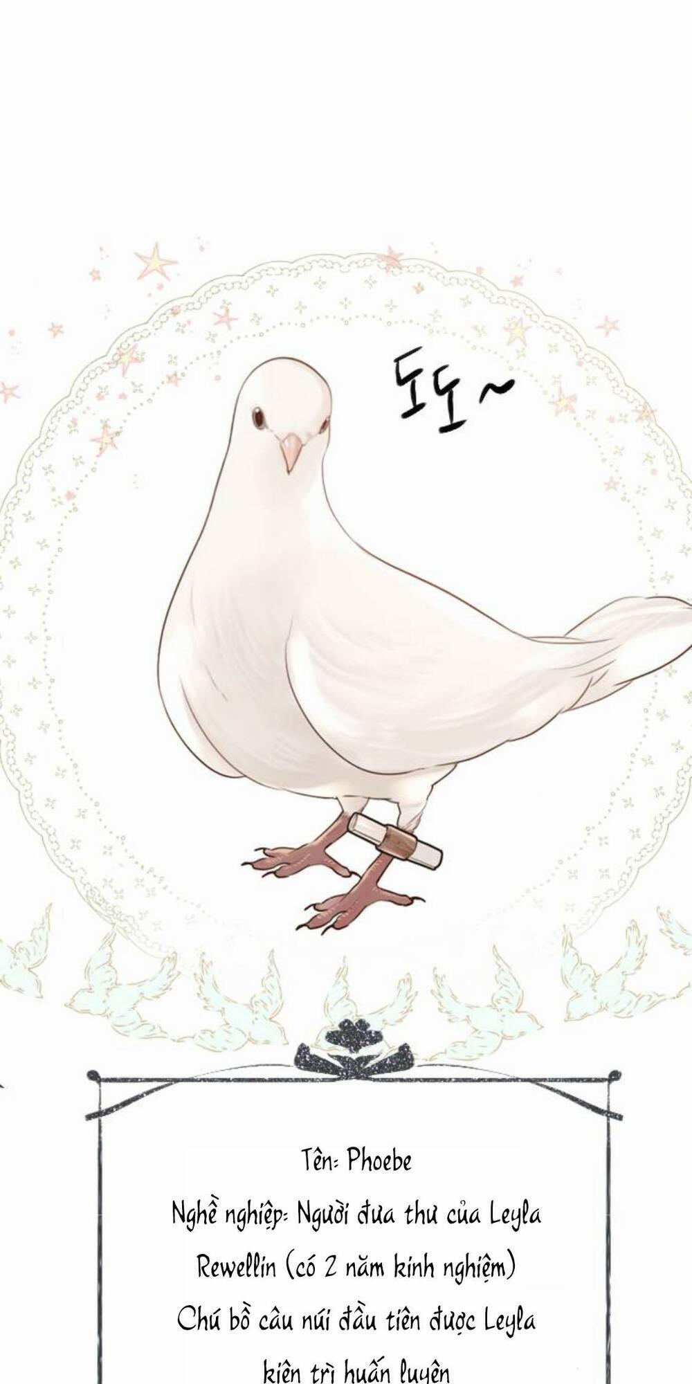 Khóc Đi, Hay Cầu Xin Tôi Cũng Được 19 trang 72