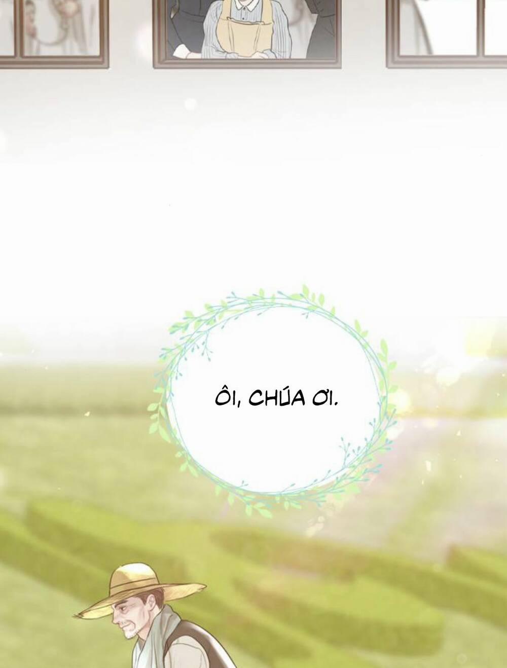 Khóc Đi, Hay Cầu Xin Tôi Cũng Được 2 trang 23